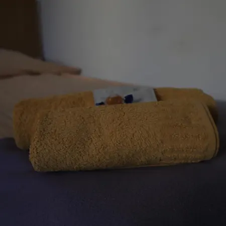 Marina Guest house Banska Bystrica